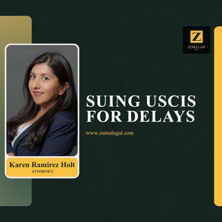 Immigration Delays and Mandamus Lawsuits: What Happens After You Sue USCIS?