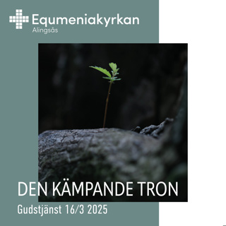 250316 - Den kämpande tron - Peter Lindroos