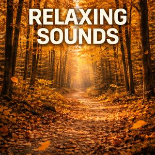 Relaxing Sounds – Rustling Autumn Woods | Sleep, Study, Focus | (8 Hours)