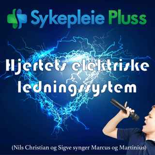 Hjertets elektriske ledningssystem