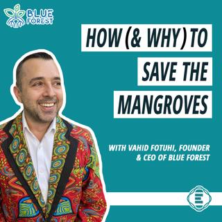 #230 - How (& Why) to Save the Mangroves, with Vahid Fotuhi of Blue Forest