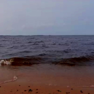 The Mermaid's Call