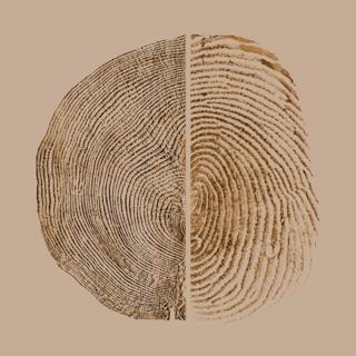 How to Be a Good Ancestor w/ Roman Krznaric