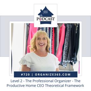 720 - Level 2 - The Professional Organizer - The Productive Home CEO Theoretical Framework
