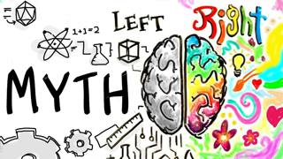 Left Brain Right Brain is a MYTH | After Skool
