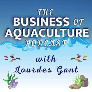 A Christmas Special: From Green Talk to Real Traction — Youmanizing LinkedIn for Sustainable Authority