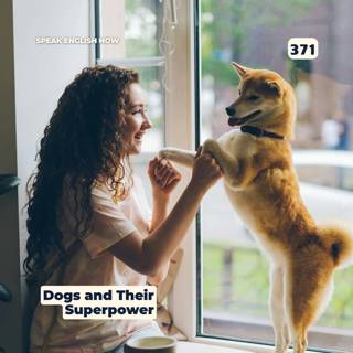 #371 Dogs and their superpower