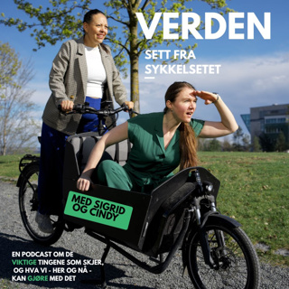 Hold kjeft, Heiberg! Og hvorfor er byrådslederen så sint på Cindy?