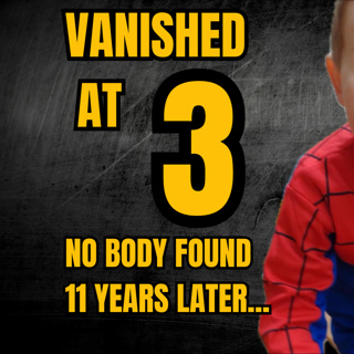 He Vanished At 3… No Body Found 11 Years Later | The William Tyrrell Story