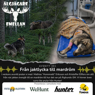301. Från jaktlycka till mardröm