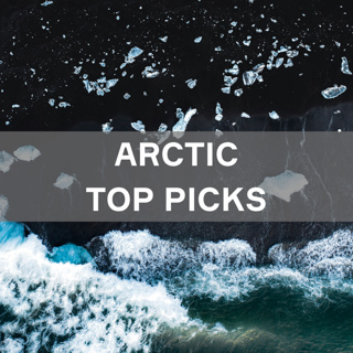 Arctic Top Picks III