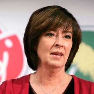 Mona Sahlin angriper Bildts uttalande