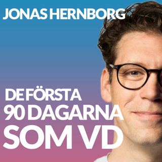 De första 90 dagarna som VD med Jonas Hernborg Koncernchef för Hörle Wire Group