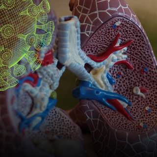 Den tysta syrebristen – Vetenskapsradions coronaspecial