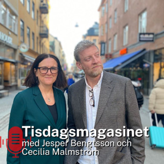 Tisdagsmagasinet om Ryssland och hybridkriget