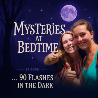 Ninety Flashes in the Dark: The Disappearance of Kris Kremers and Lisanne Froon