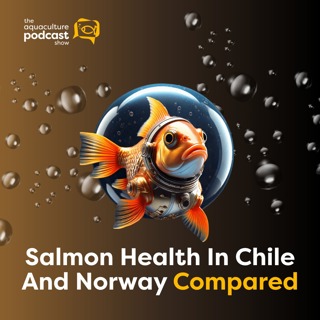 Salmon Health In Chile And Norway Compared | Ep. 51