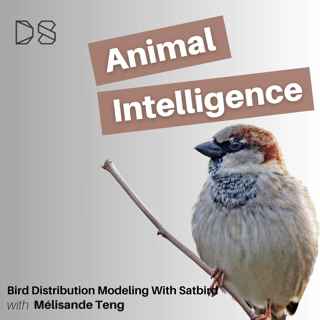 Bird Distribution Modeling with Satbird