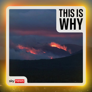 Why the UK needs to learn from Europe’s wildfires
