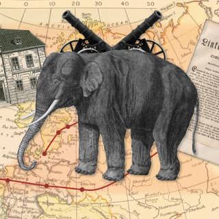 Elefantupploppet i Skänninge