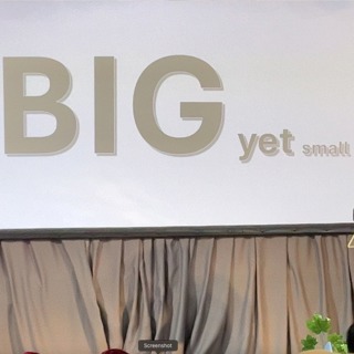 BIG yet small