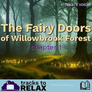 Fairy Doors Chapter 1 - Bedtime Story (Nikki's Voice)