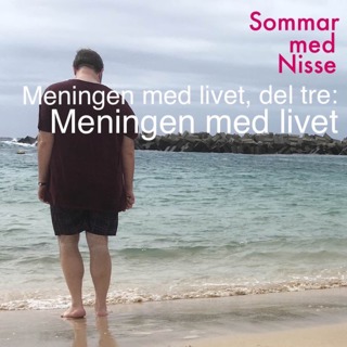 Sommar med Nisse - Meningen med livet, del tre