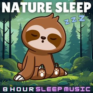 🔊🎶 Listen to our Sleep Music as a Playlist on Spotify! More Variety & Quieter Nature Sounds. Click the Links in the Description 👇