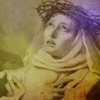 356: The Blood-Drinking Bride of Christ