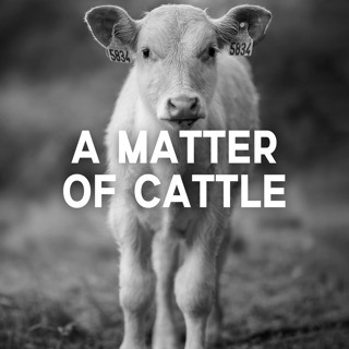 A Matter of Cattle