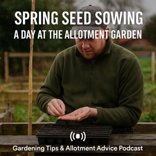 🎧 Spring Seed Sowing: A Day at the Allotment Garden | Gardening Tips & Allotment Advice Podcast