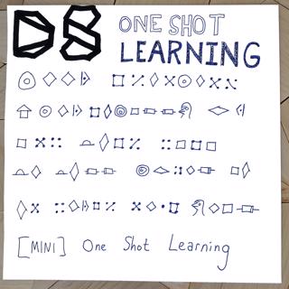 [MINI] One Shot Learning