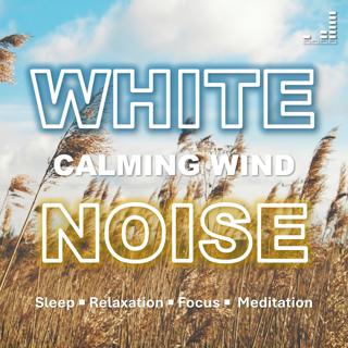 Calming Wind | White Noise: 1 Hour Breeze for Sleep, Relaxation, Focus, Meditation