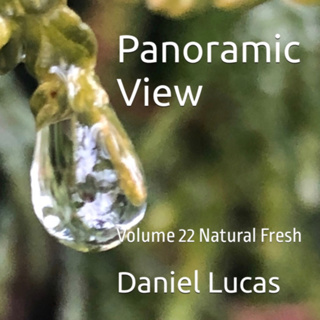 Panoramic View Volume 22 Natural Fresh by Daniel Lucas