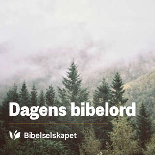 Dagens bibelord 29. februar 2024 - Job 1,6–22