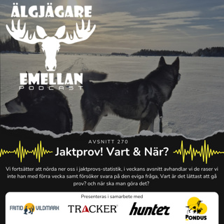 270. Jaktprov! Vart & När?