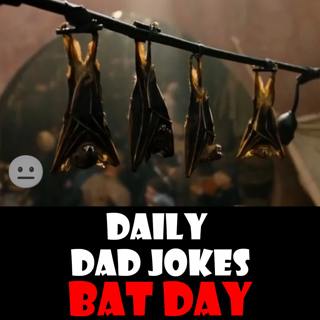 [No Laughter Version] National Bat Day! 27 August 2025