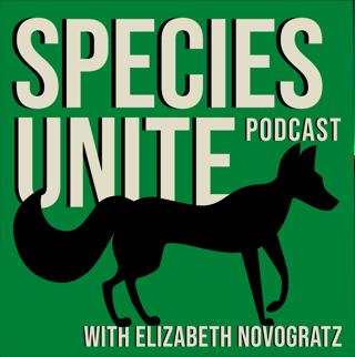 Allison Argo: On Passion, Purpose, and the Wisdom of Following Your Heart