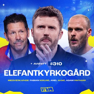 #310 Elefantkyrkogård