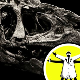 A 21st century guide to hunting dinosaur fossils