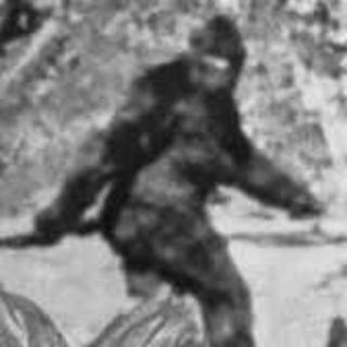 kryptozoologi