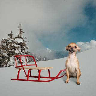 AI Chefs and Unqualified Sled Dogs | TAPE Classic
