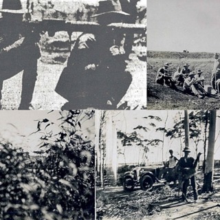 Episode 75: The Great Emu War