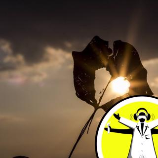 A Little Light Relief