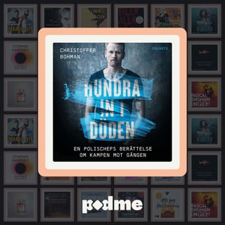 Tips: En polischefs berättelse om kampen mot gängen