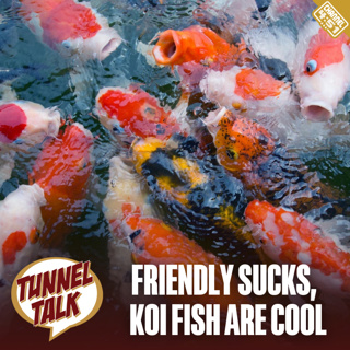 Tunnel Talk 177: Friendly Sucks, Koi Fish Are Cool