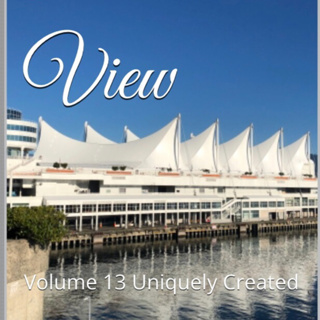 Panoramic View Volume 13 Uniquely Created by Daniel Lucas