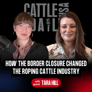 410: How the Border Closure Changed the Roping Cattle Industry with Tara Hill