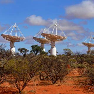 Supernovae, TDEs, and Scintillation: How ASKAP and Rubin Are Mapping the Variable Universe