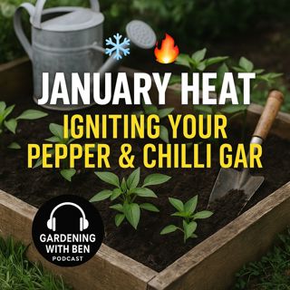🎧 🔥 January Heat: Igniting Your Pepper & Chilli Garden 🌱🌶️